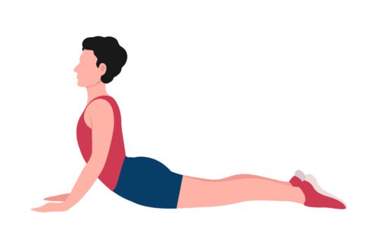 Cobra Pose (Bhujangasana)