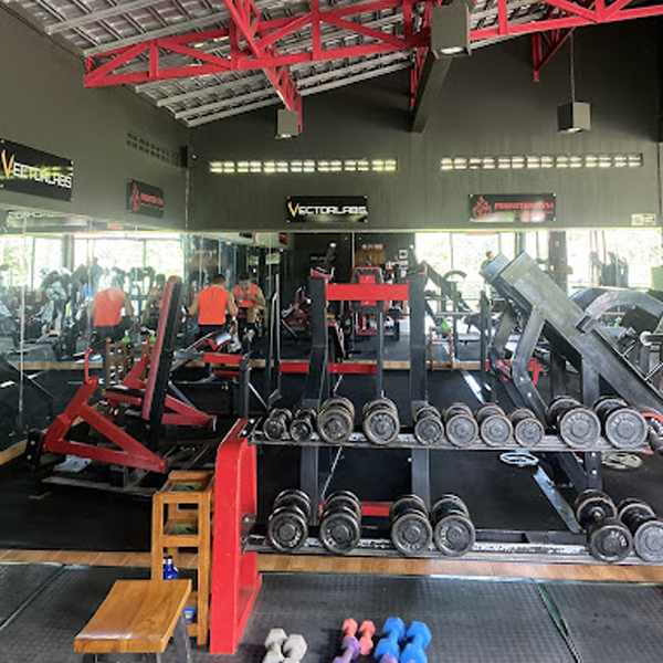 Foto Frenster Gym
