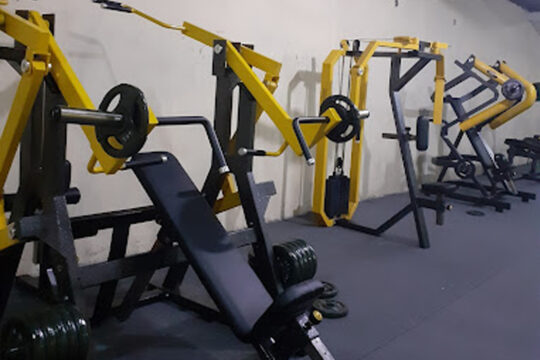 Sholeh Fitness