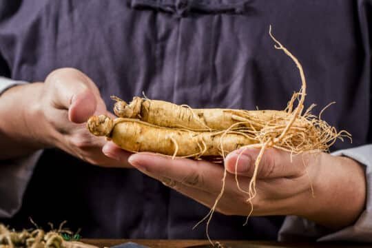 Multiguna Sang Ginseng Jawa