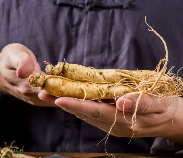 Multiguna Sang Ginseng Jawa