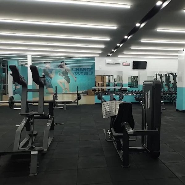 Foto FIT HUB Goldfinch