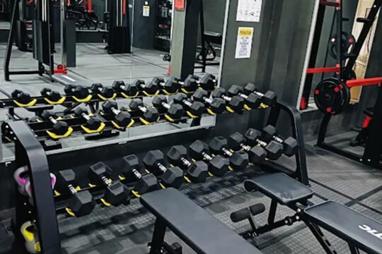 King Gym Fitness