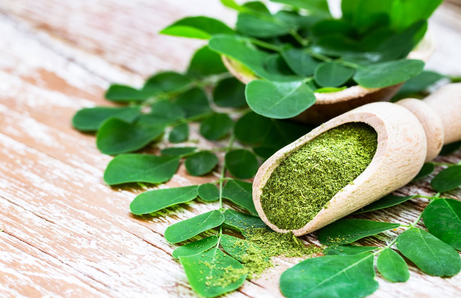 Pendamping Tumbuh Kembang Anak Bukan Superhero tapi Superfood: Kelor