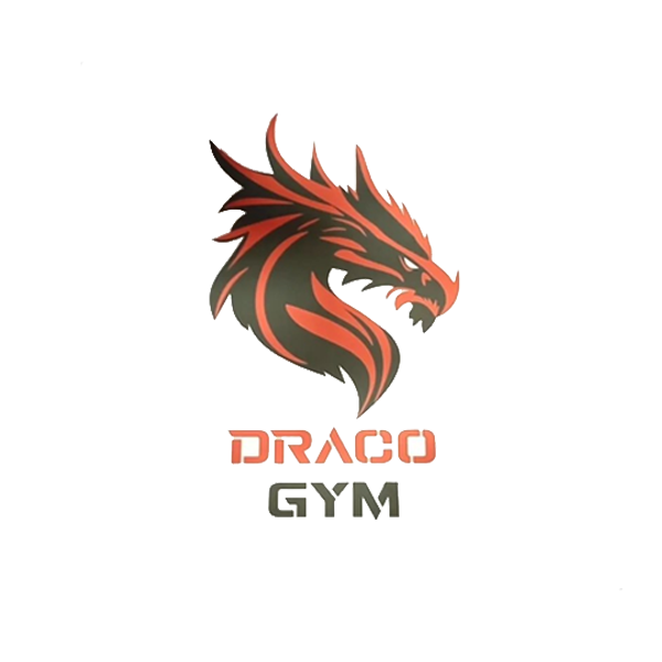 Logo Draco Gym