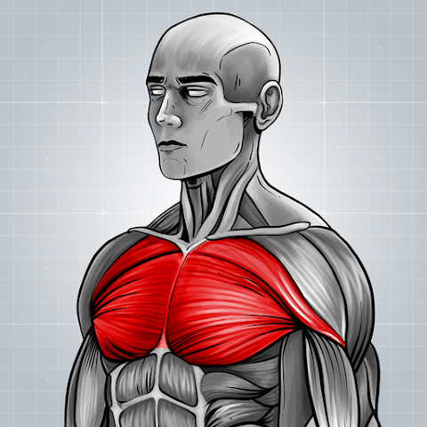 Fitness Exercises: Lightweight